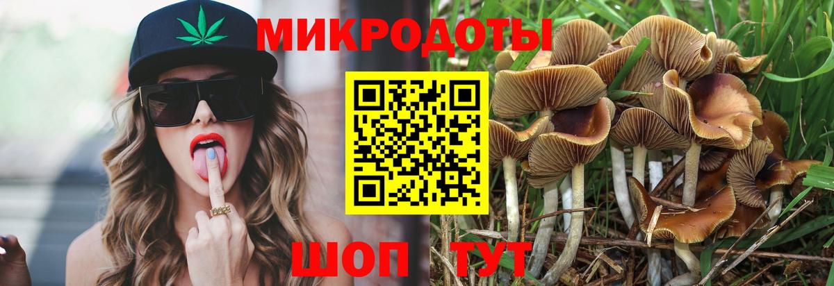 Псилоцибиновые грибы Magic Shrooms Казань